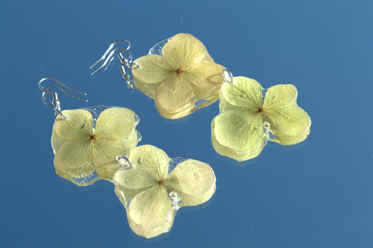 Caravanas | Hortensia doble