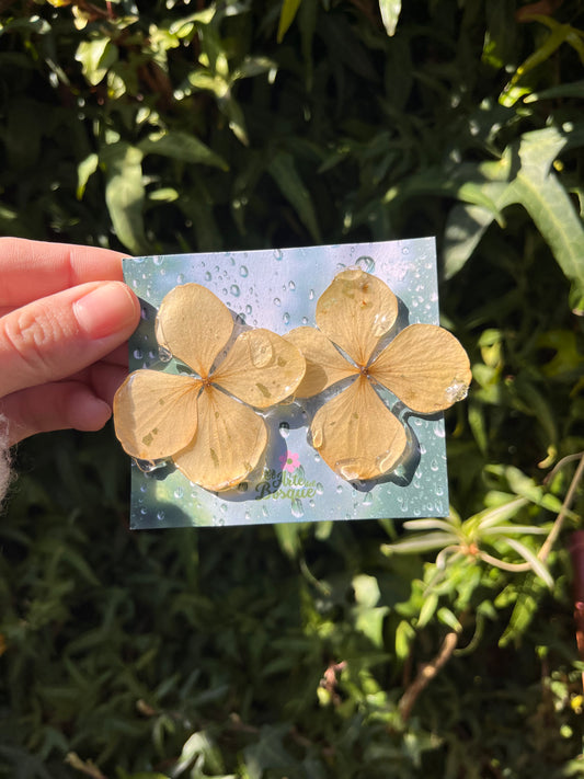 Hortensias "efecto mojado"💦