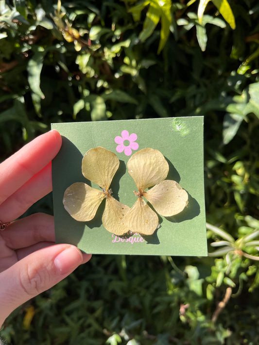 Caravanas | Hortensia verde