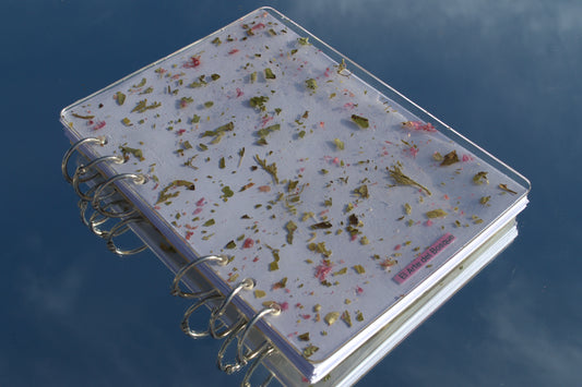 CUADERNO BOTÁNICO | Verde