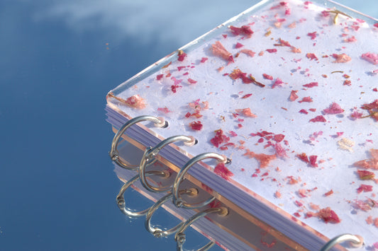 CUADERNO BOTÁNICO | Rosa