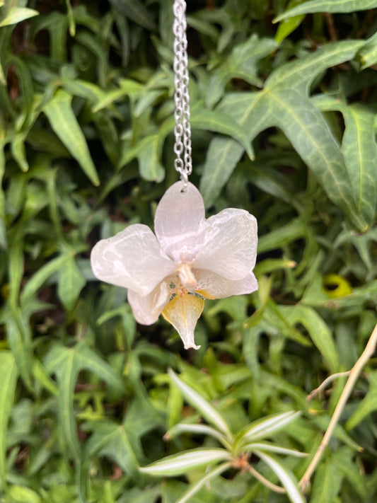 Dije | Orquídea preservada🌸