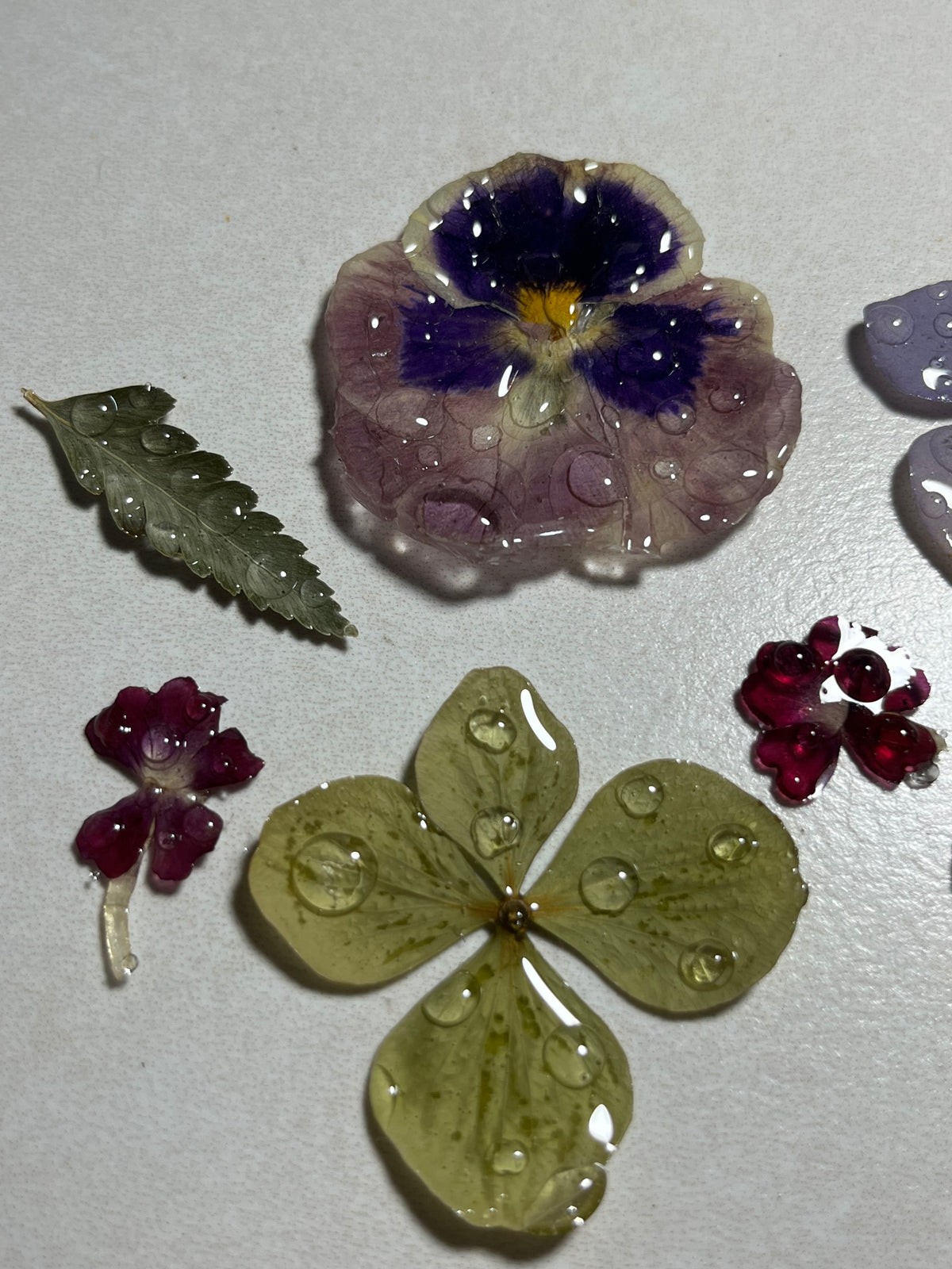 Accesorios