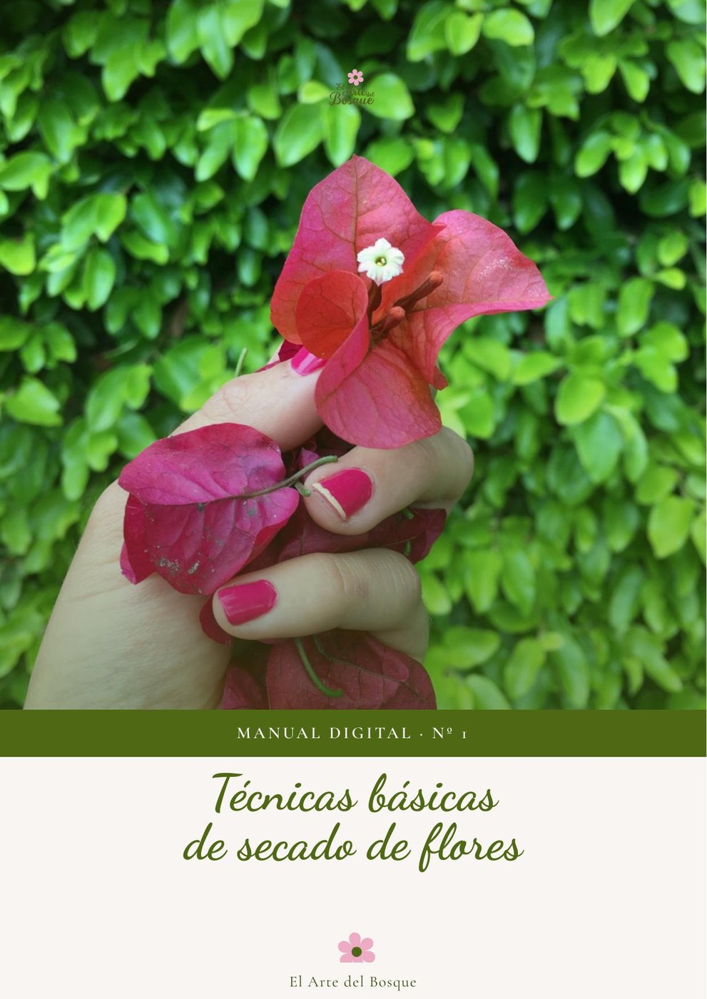 Tapa del manual de secado de flores